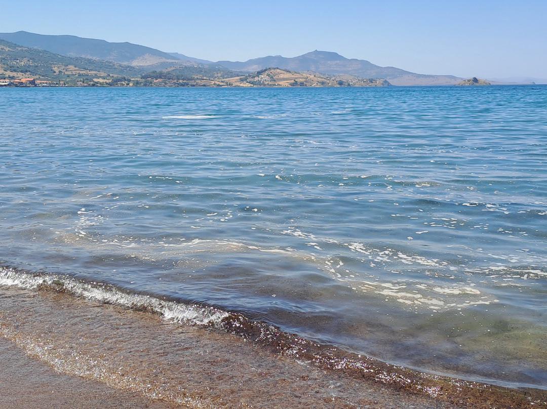 Petra Beach-Petra必去景点