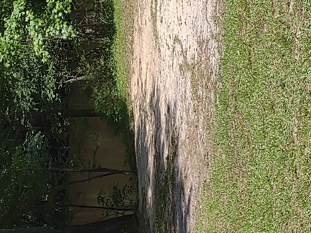 Colleton State Park景点图片