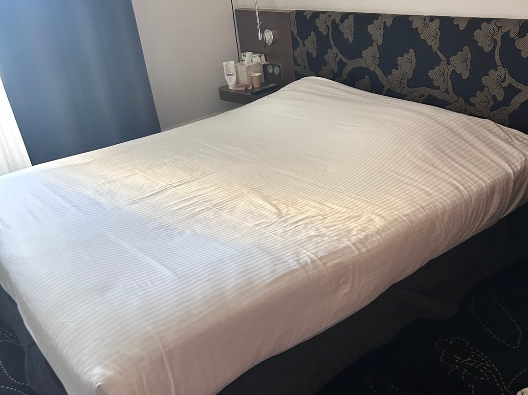 撒隆城堡酒店主图