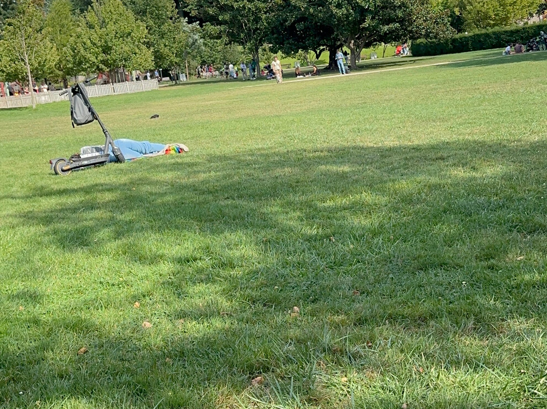 Parc Jouvet景点图片