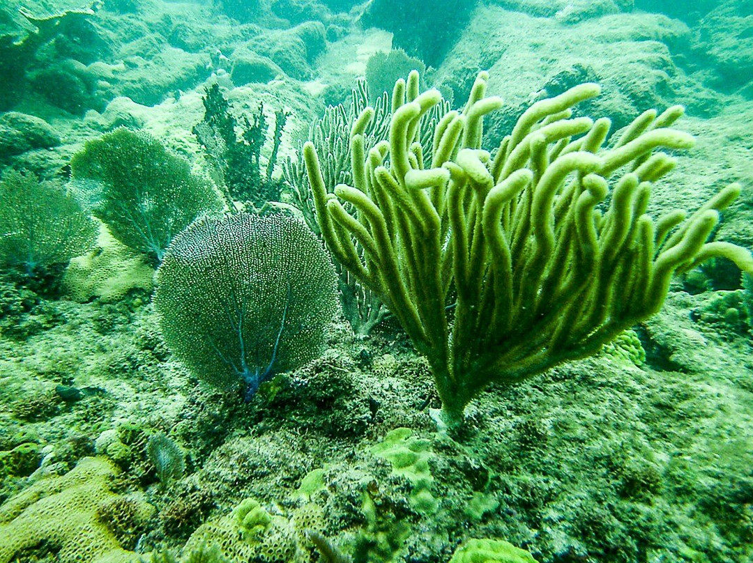 Steps Beach-吕康必去景点