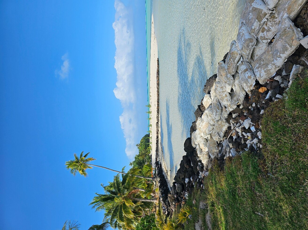 Pension Tautiare Village主图