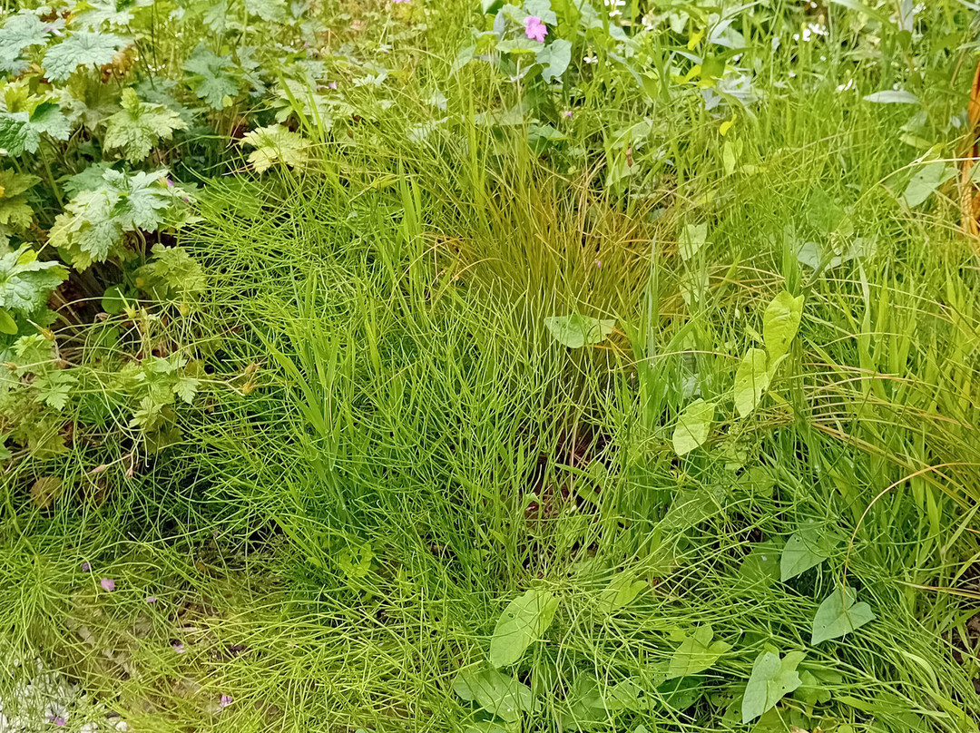 National Garden Exhibition Centre-Kilquade必去景点