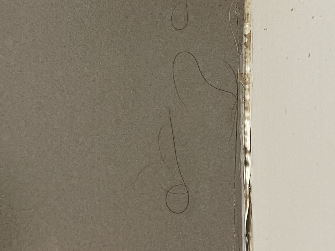 The Grapevine Motel主图