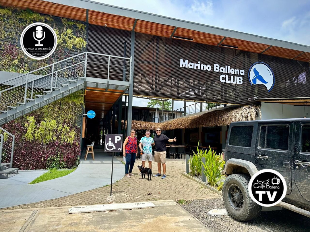 Club Marino Ballena景点图片