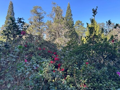 Benvie Garden-豪威克必去景点