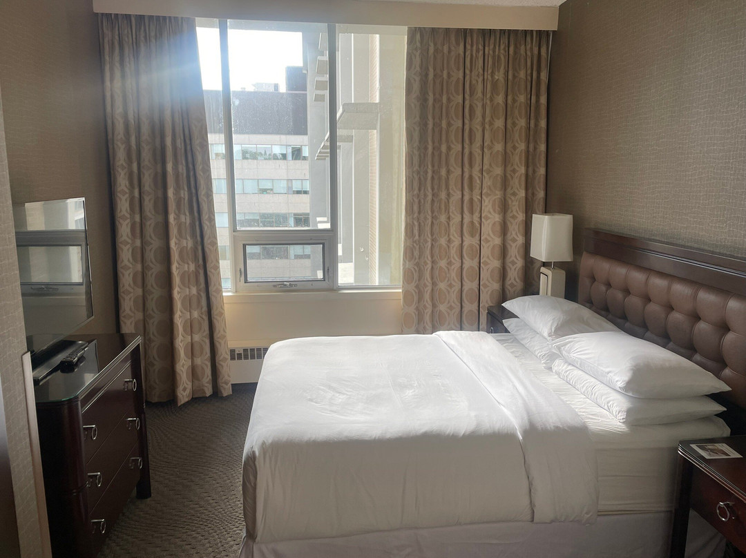 萨斯卡通喜来登骑士酒店主图