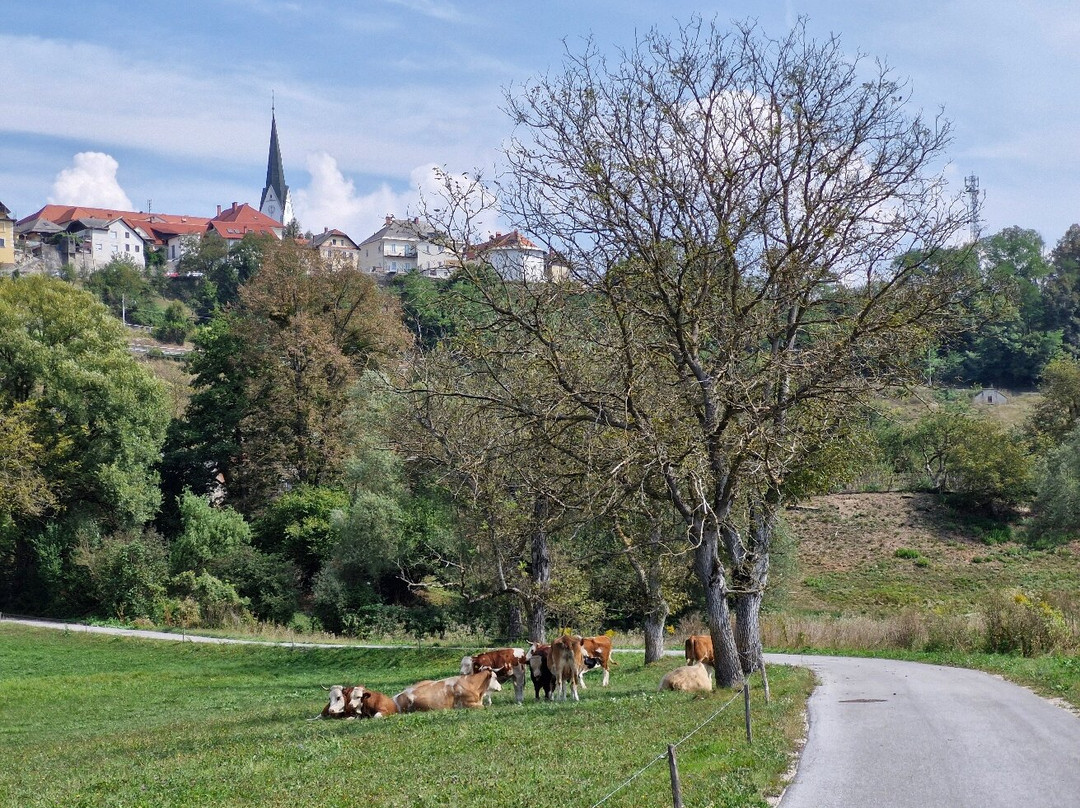 Radovljica Old Town-Radovljica必去景点