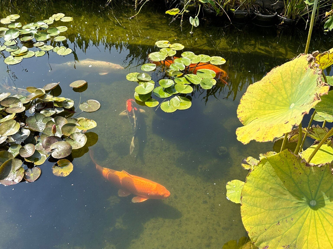 Rotary Botanical Gardens-Janesville必去景点