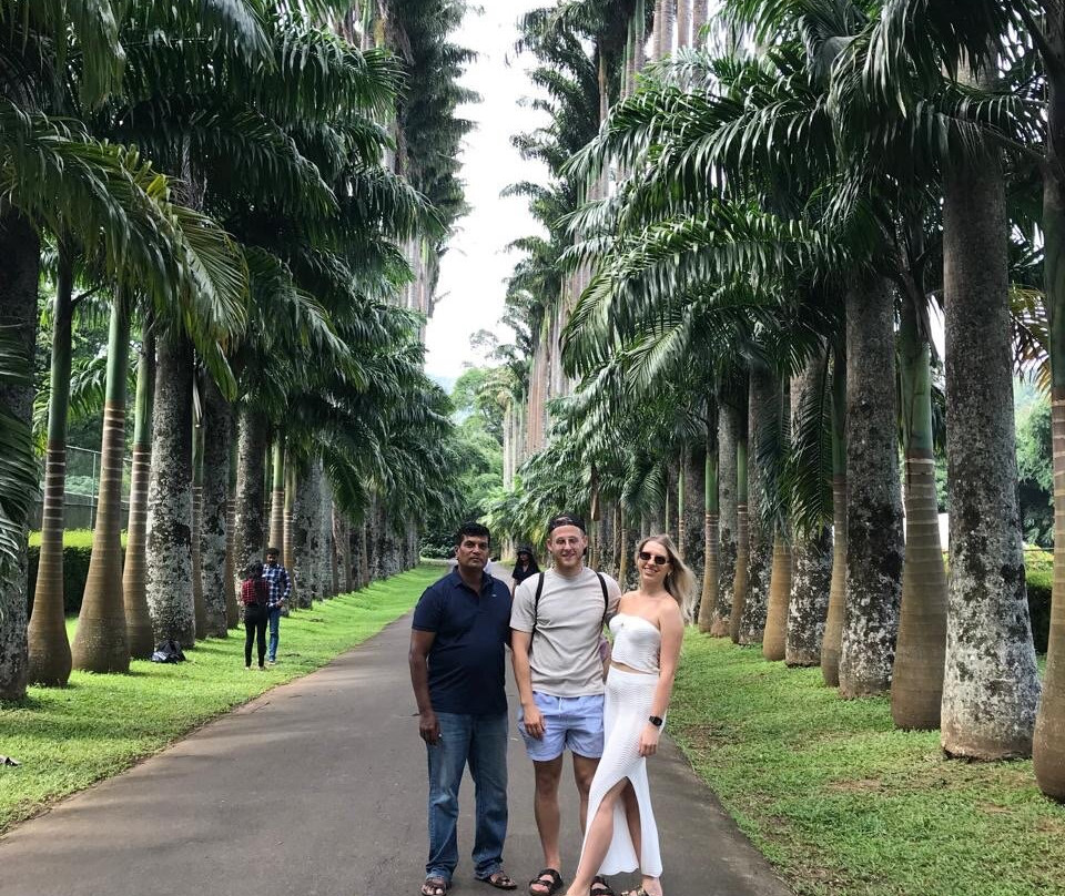 Travel Bees Sri Lanka景点图片