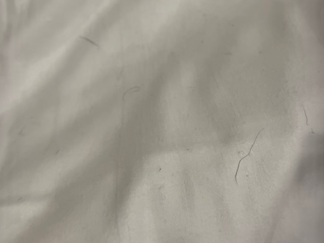 布兰德德文酒店主图