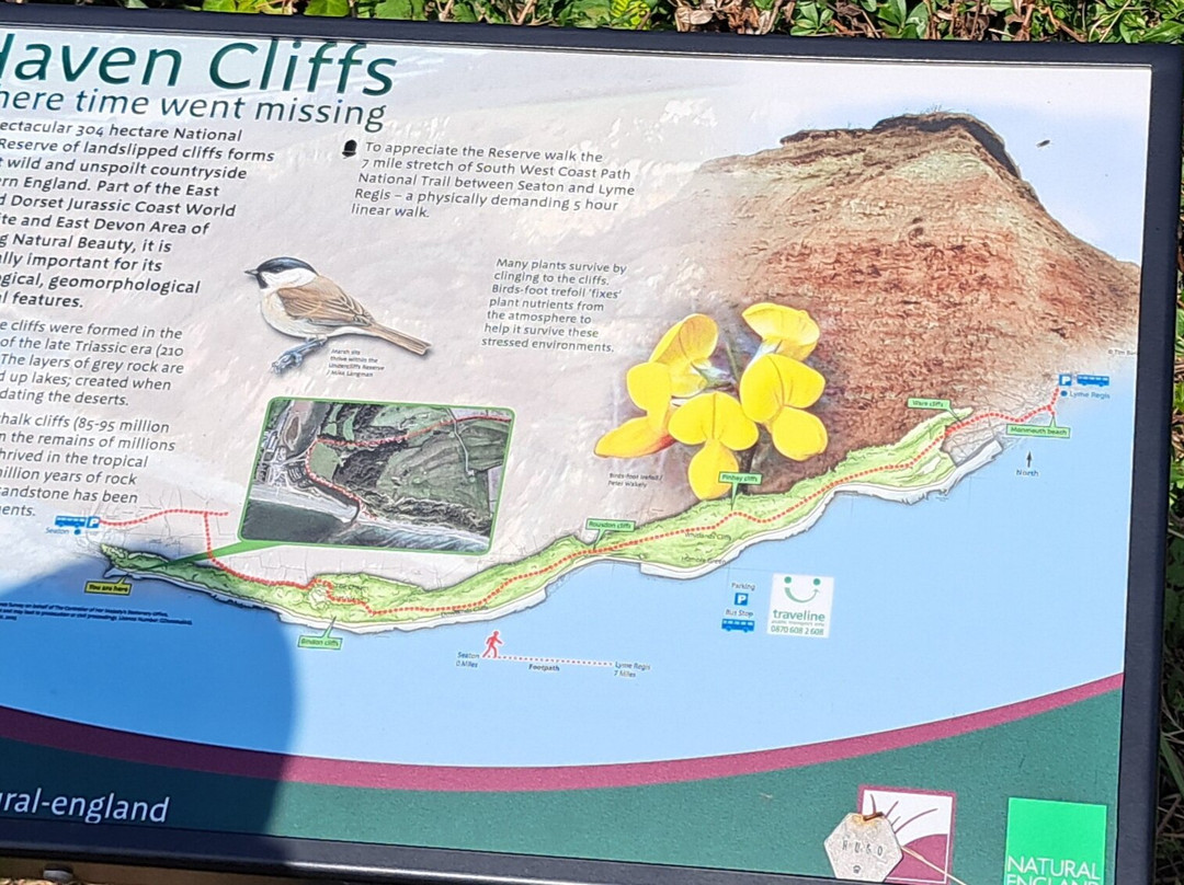 Haven Cliffs-Seaton必去景点