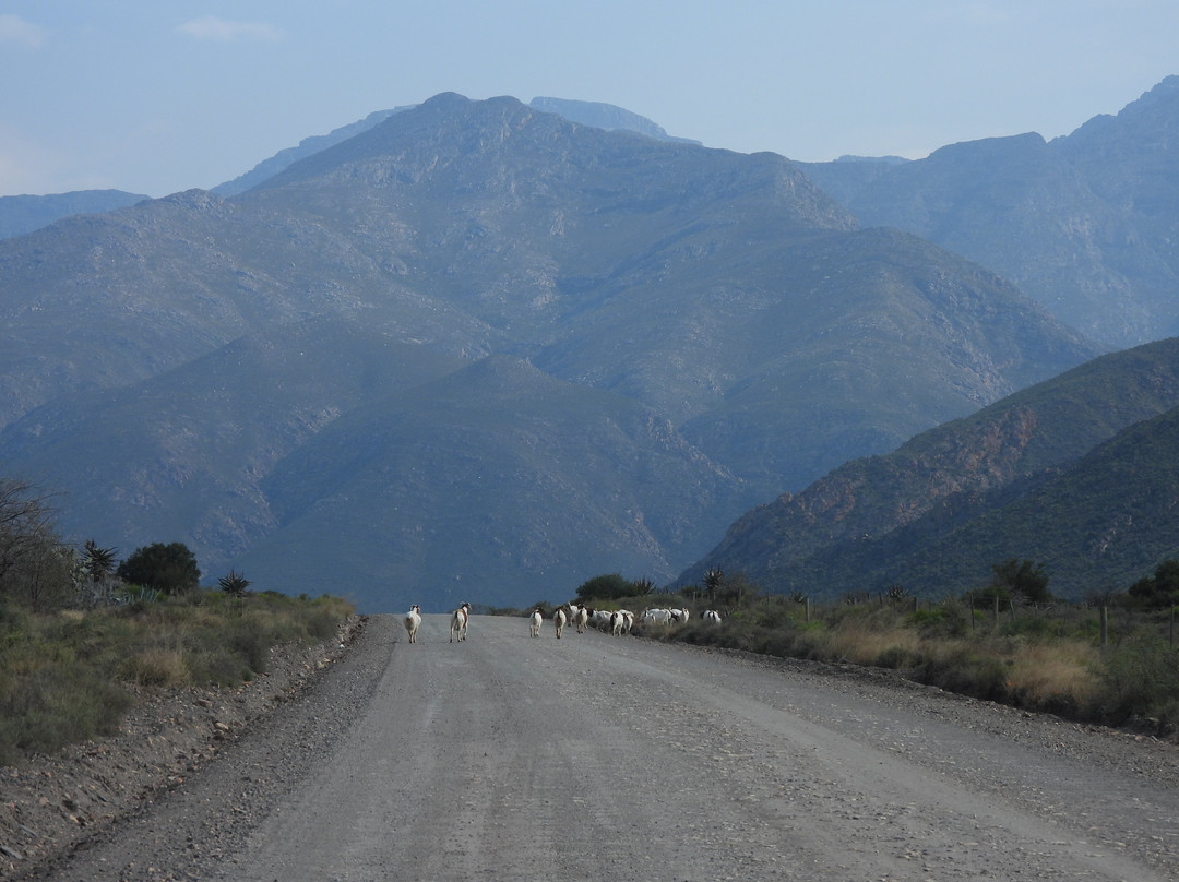 Seweweekspoort-Ladismith必去景点