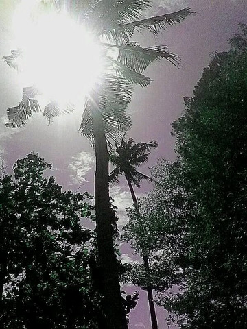 Kenya Classic Tour Travel-瓦塔木必去景点