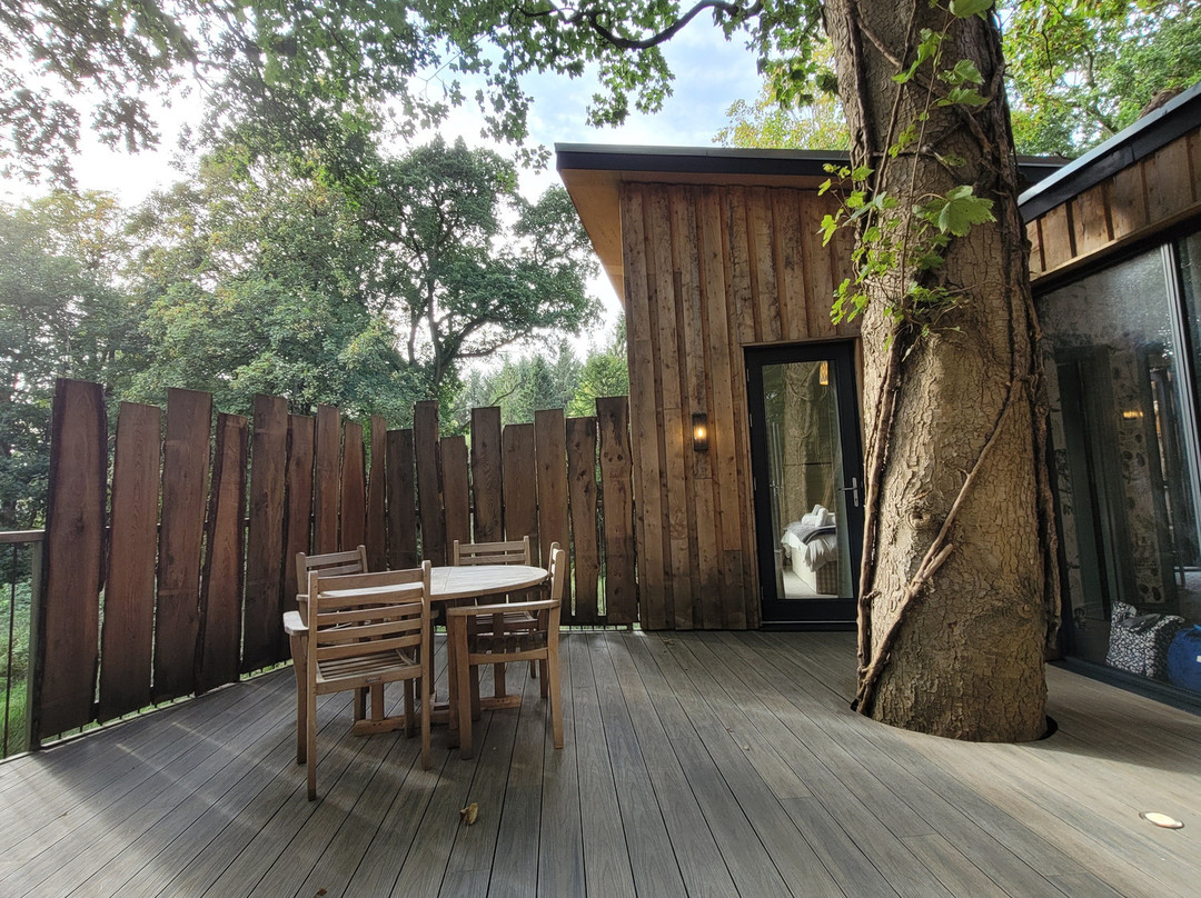 The Treehouses at Leckie主图