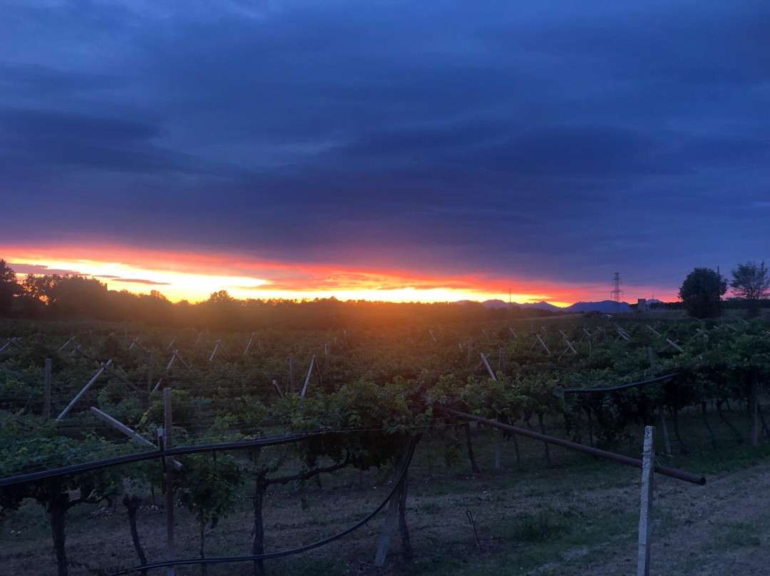 Agriturismo & Agricamping Serena主图