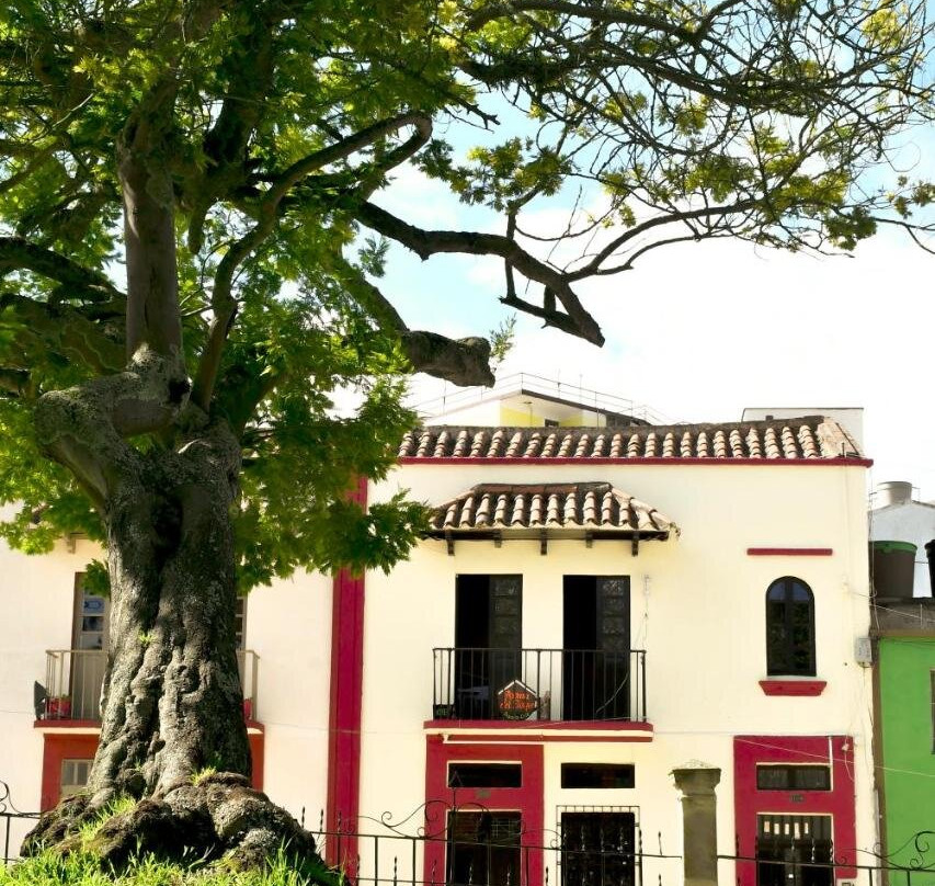 Aroma Del Bosque Posada主图