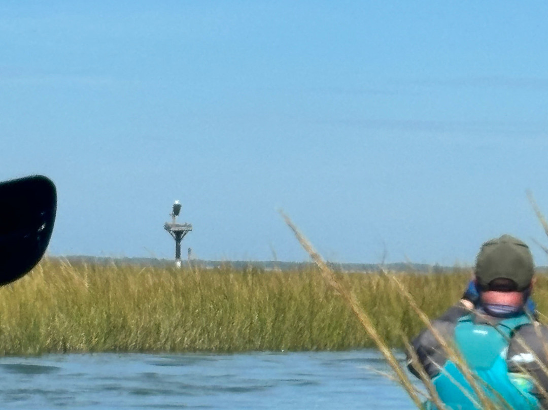 Coastal Kayak-Fenwick Island必去景点
