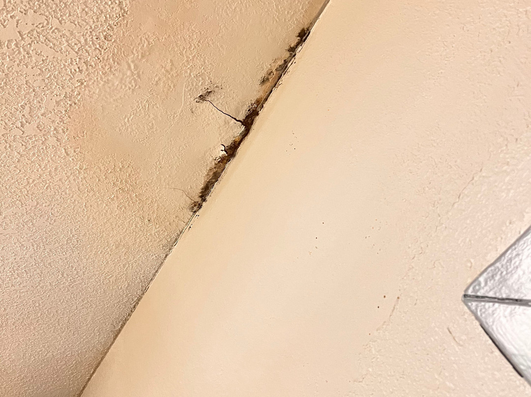 Comfort Inn & Suites Lithia Springs主图