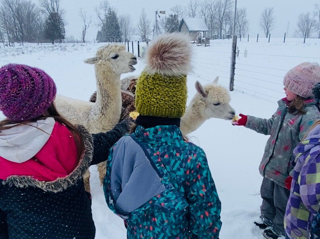 Jireh Hills Family Homestead-Alvinston必去景点