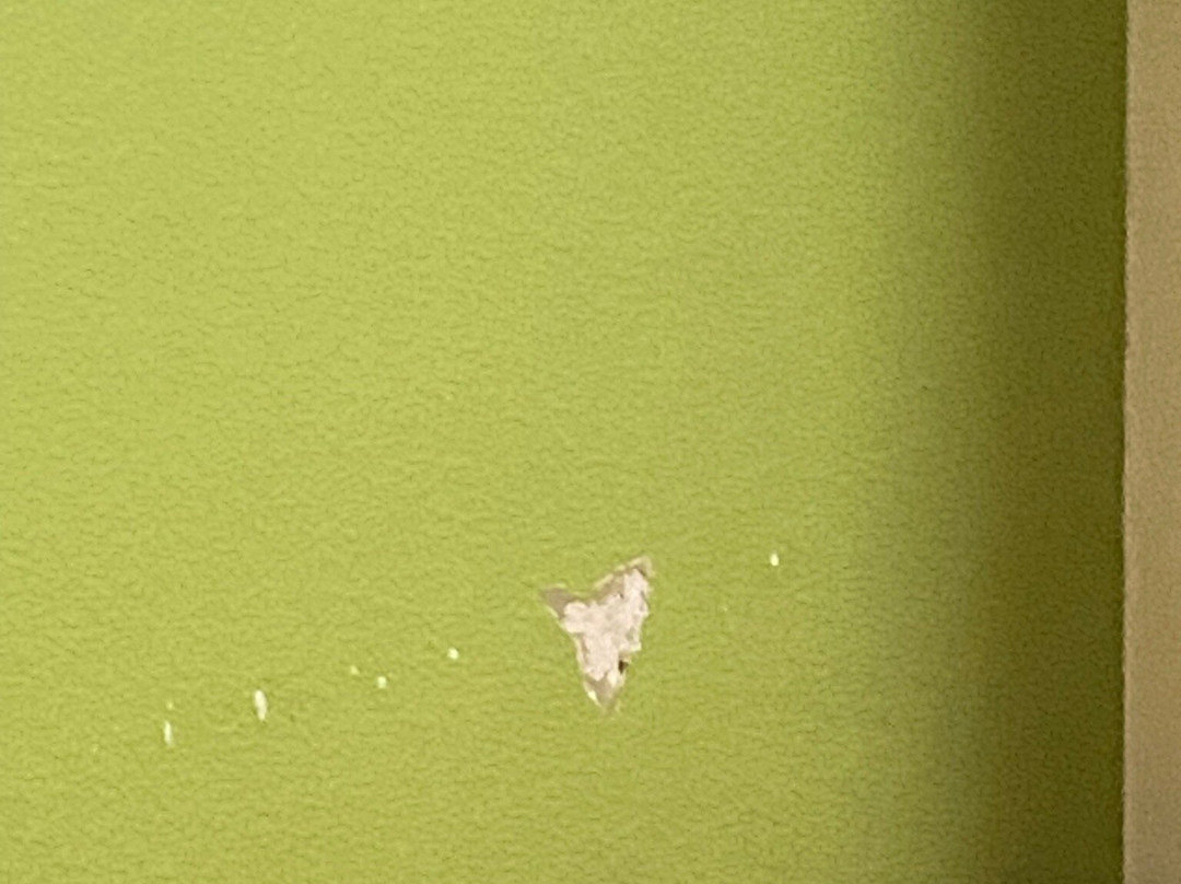 Super 8 by Wyndham Arkansas City KS主图