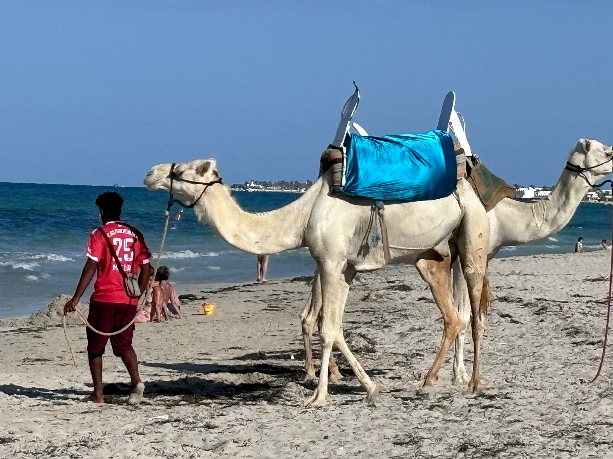 Hotel Meninx Djerba-泳池