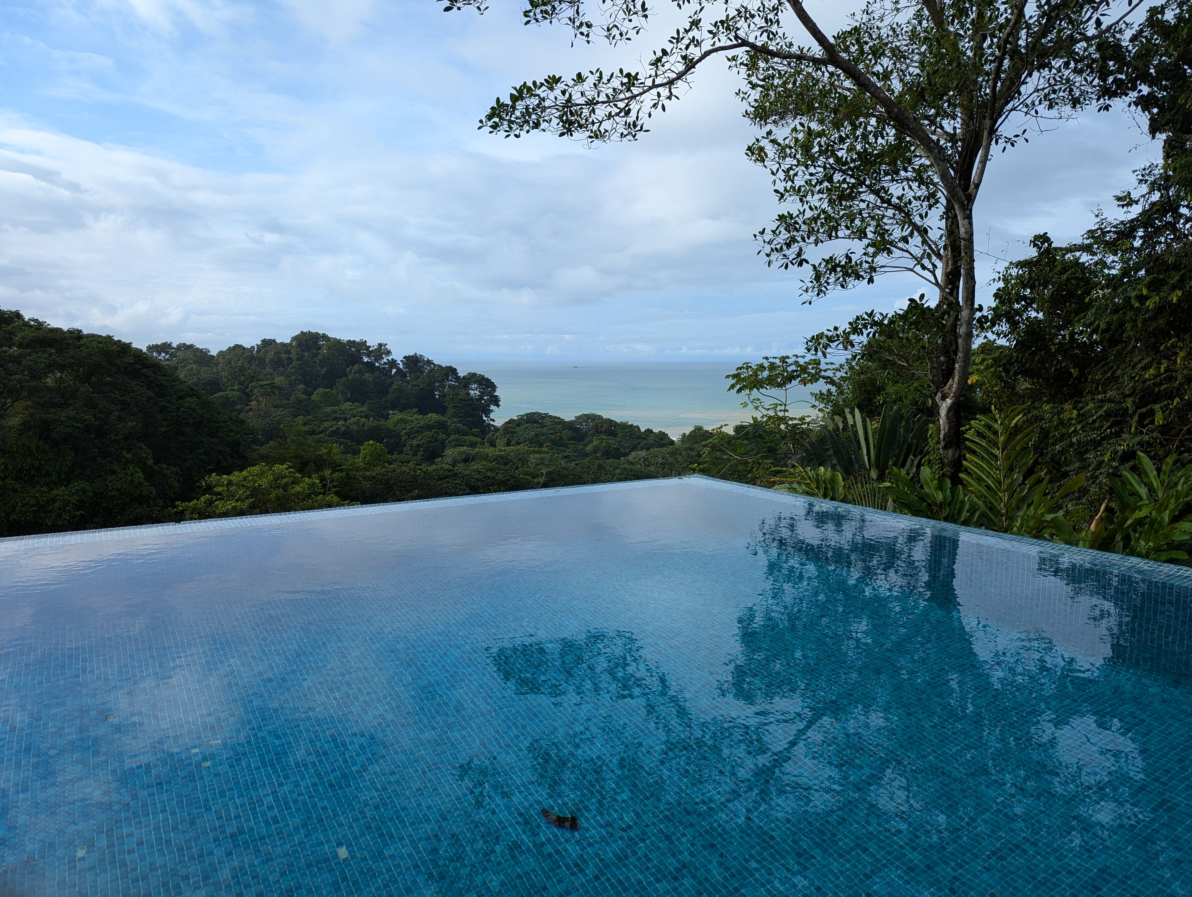 Tiki Villas Rainforest Lodge & Spa-泳池