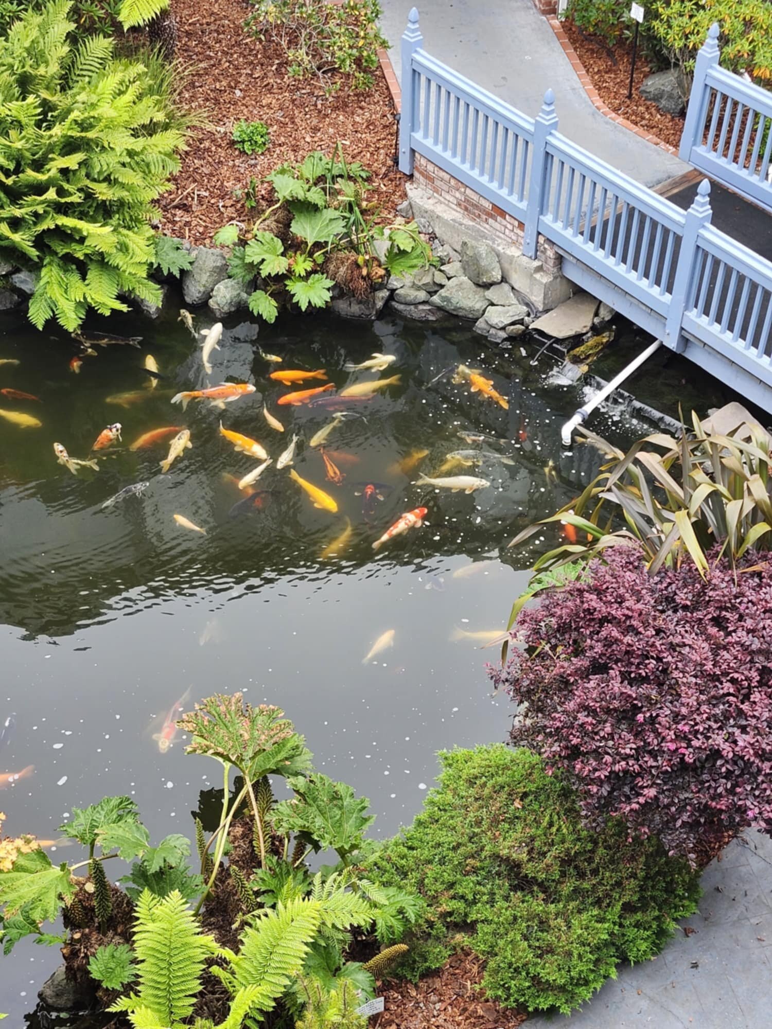 贝斯维斯特星海假日酒店-浴室