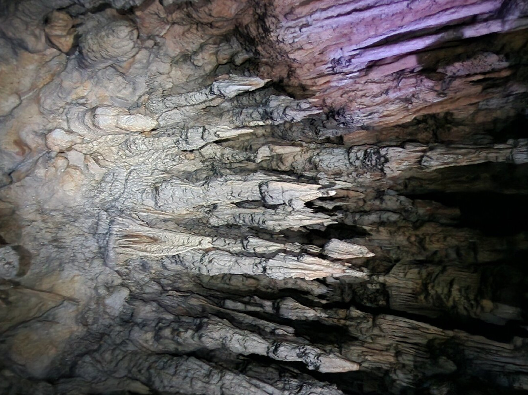 Modrič Cave-Rovanjska必去景点