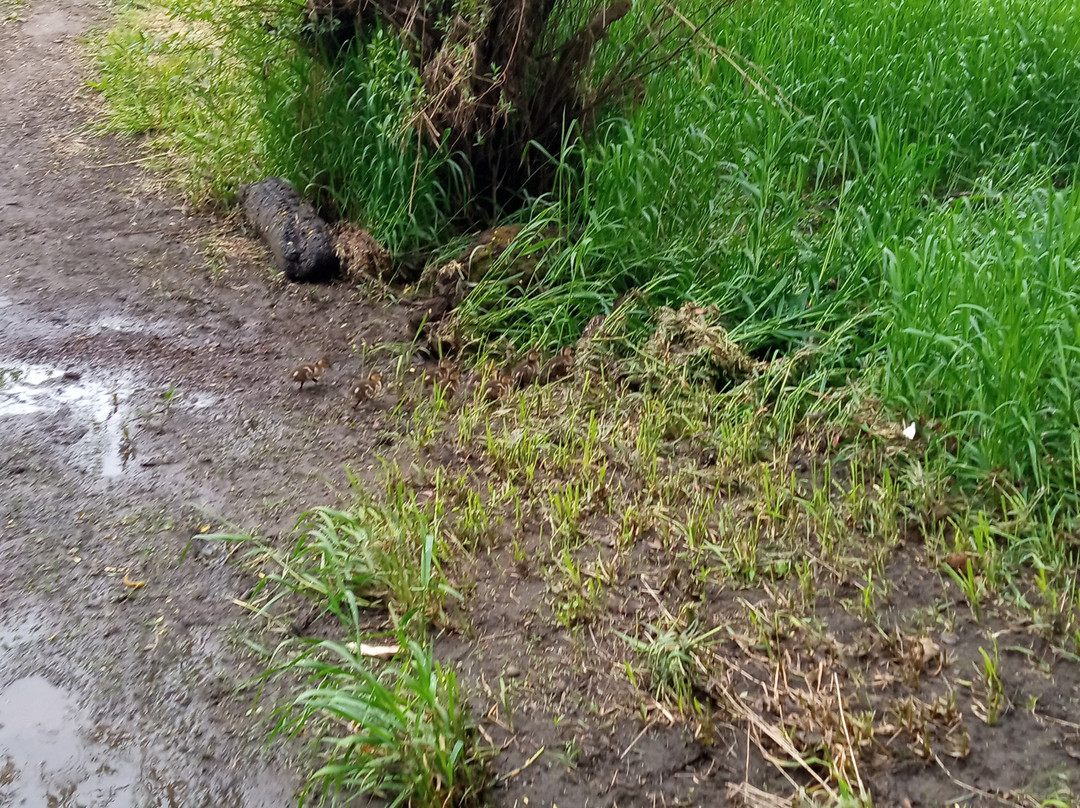 Wallace House Park-Keizer必去景点