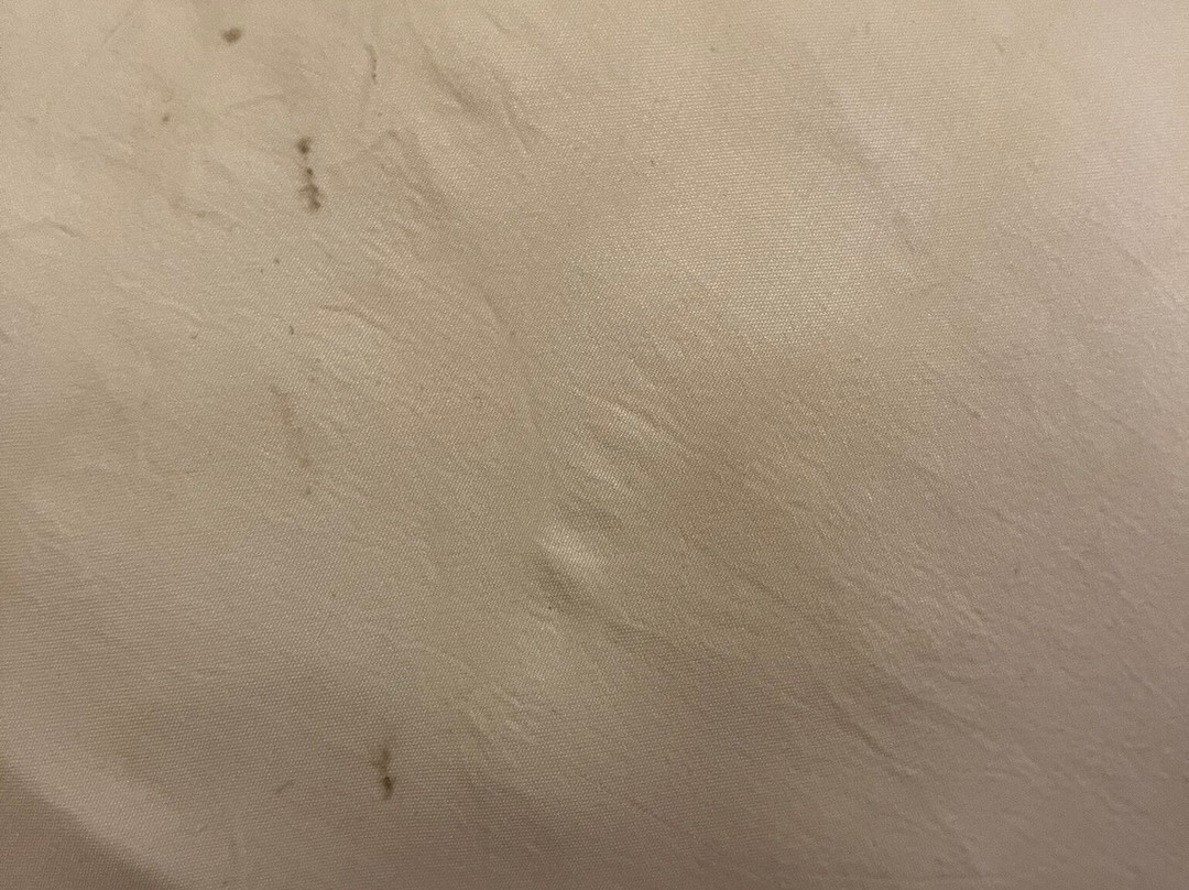 Comfort Inn & Suites Decatur-Forsyth主图