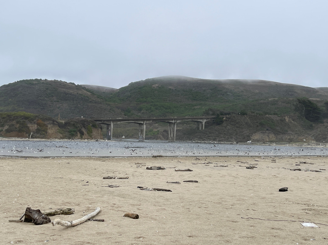 San Gregorio State Beach-San Gregorio必去景点
