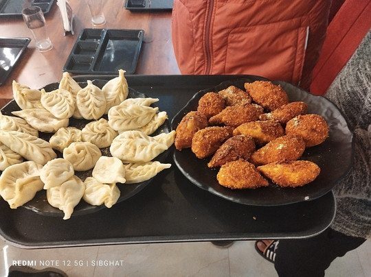 Sheen Pure Vegetarian Restaurant