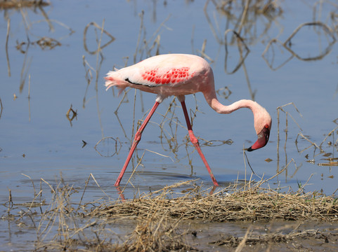 Nyange Adventures-莫西必去景点