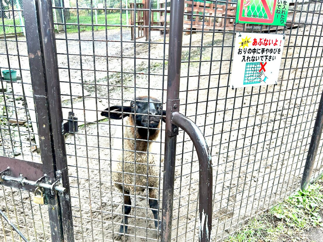 Nakayoshi Zoo-栗山町必去景点