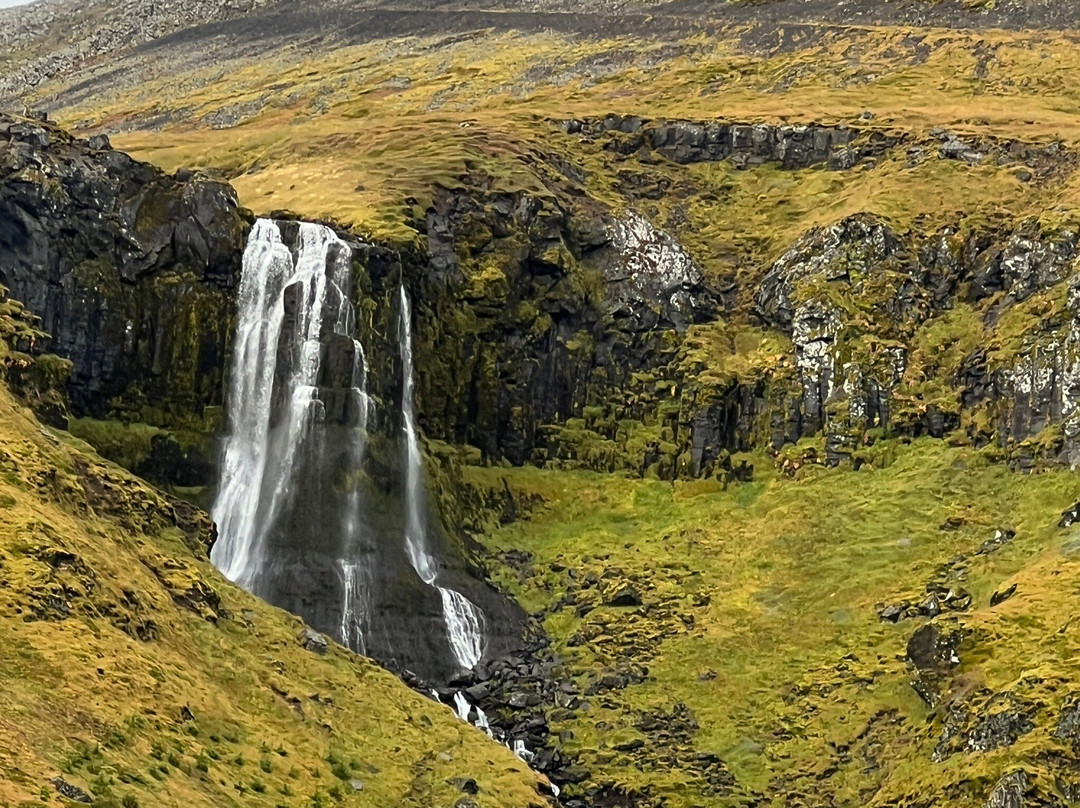 Bugsfoss