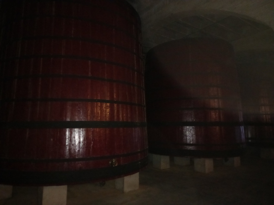 Bodegas San Isidro - B.S.I-Jumilla必去景点