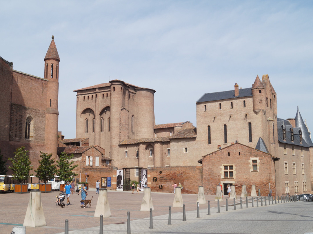 Palais de la Berbie景点图片