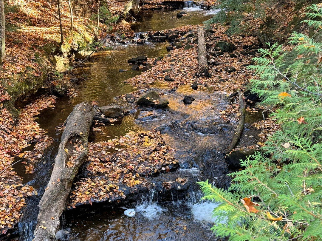 Chapel Falls-缪尼辛必去景点