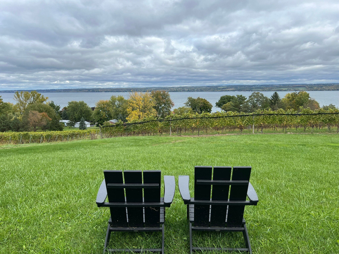 Black Walnut Bed and Breakfast主图