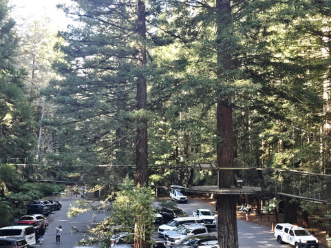 Tino Pai Tours-汉密尔顿必去景点