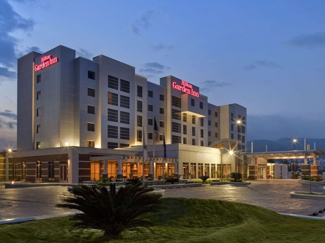 图斯特拉古铁雷斯酒店住宿-Hilton Garden Inn Tuxtla Gutierrez