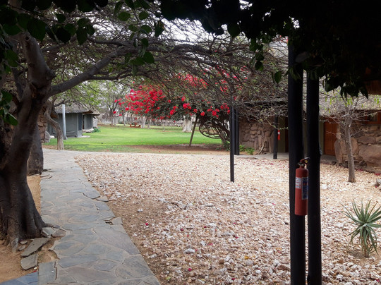 Kalahari Bush Breaks主图