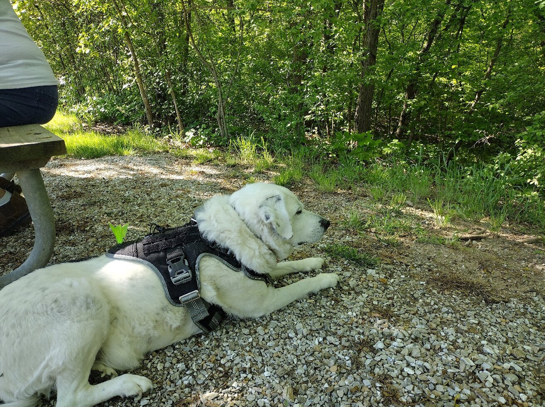 Thousand Hills State Park-柯克斯维尔必去景点