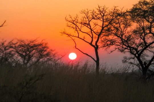 Kruger National Park-雾观必去景点