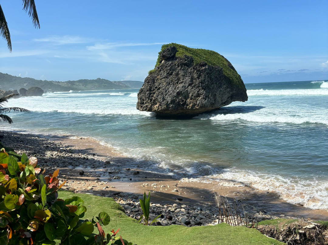 Williams Tours Barbados-布里奇顿必去景点