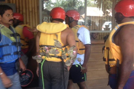 Bali Island Tour Service-培卡图必去景点