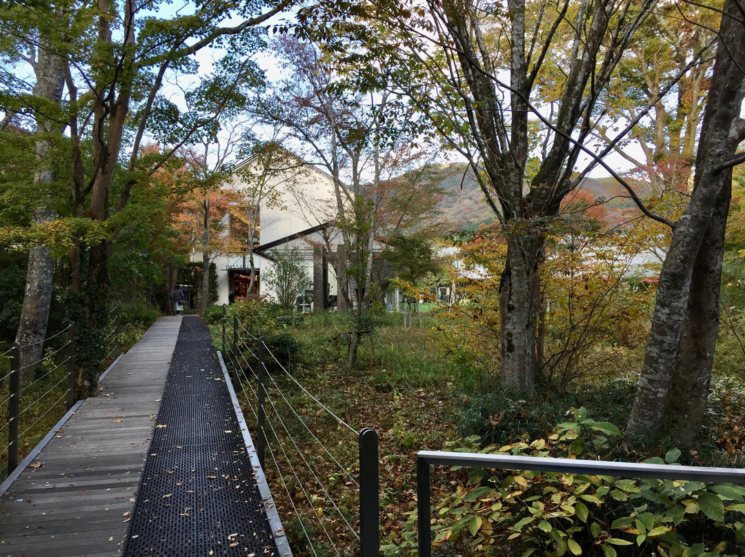 箱根拉利克美术馆-箱根町必去景点