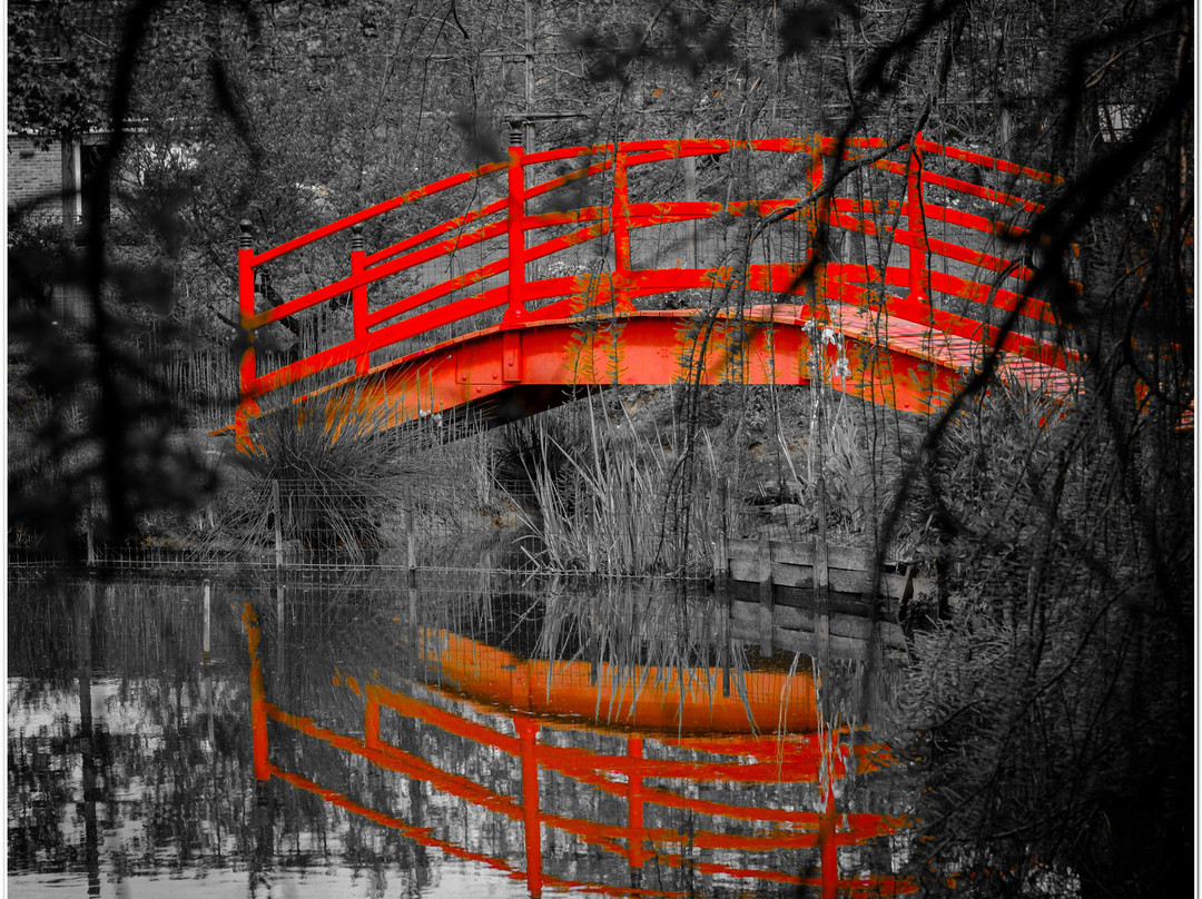 Le Jardin De La Méditation景点图片
