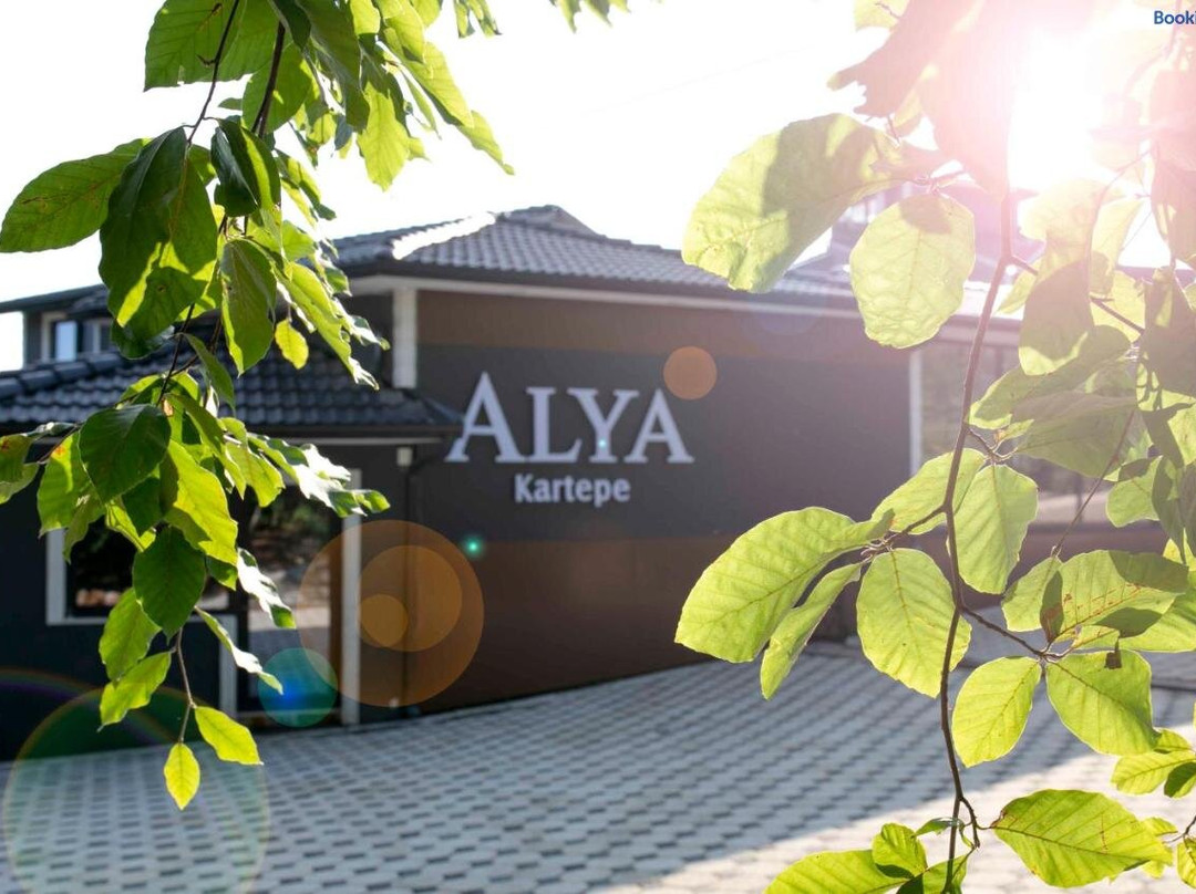 Alya Kartepe别墅酒店